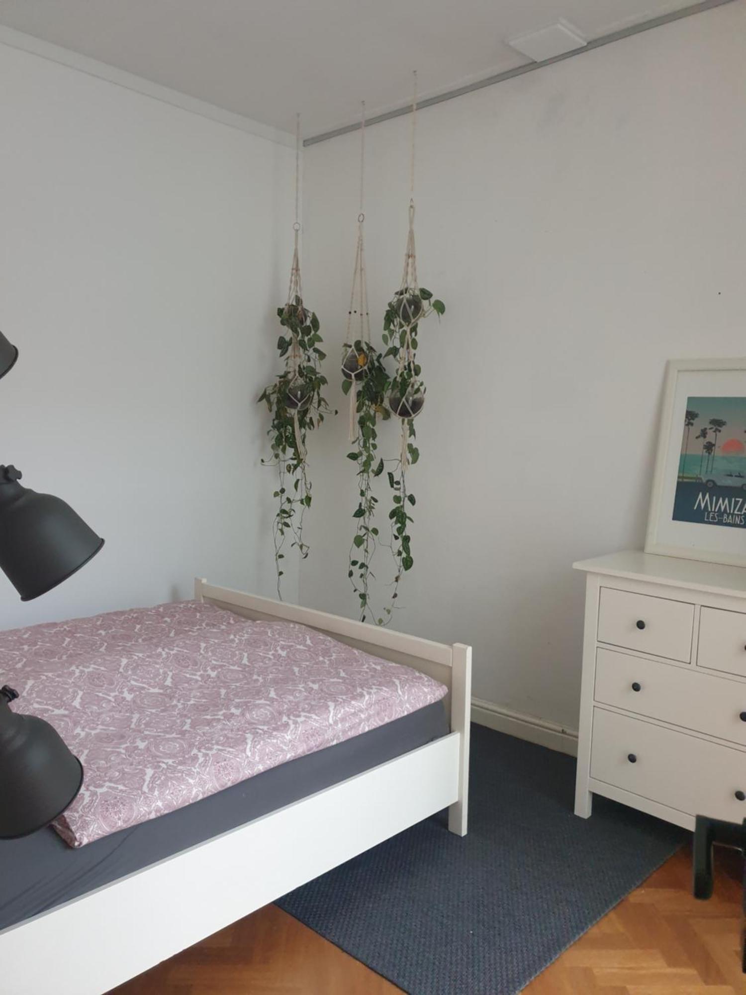 @Salland ズヴォレ 部屋 写真